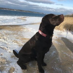 Meet your Posher, Thomas